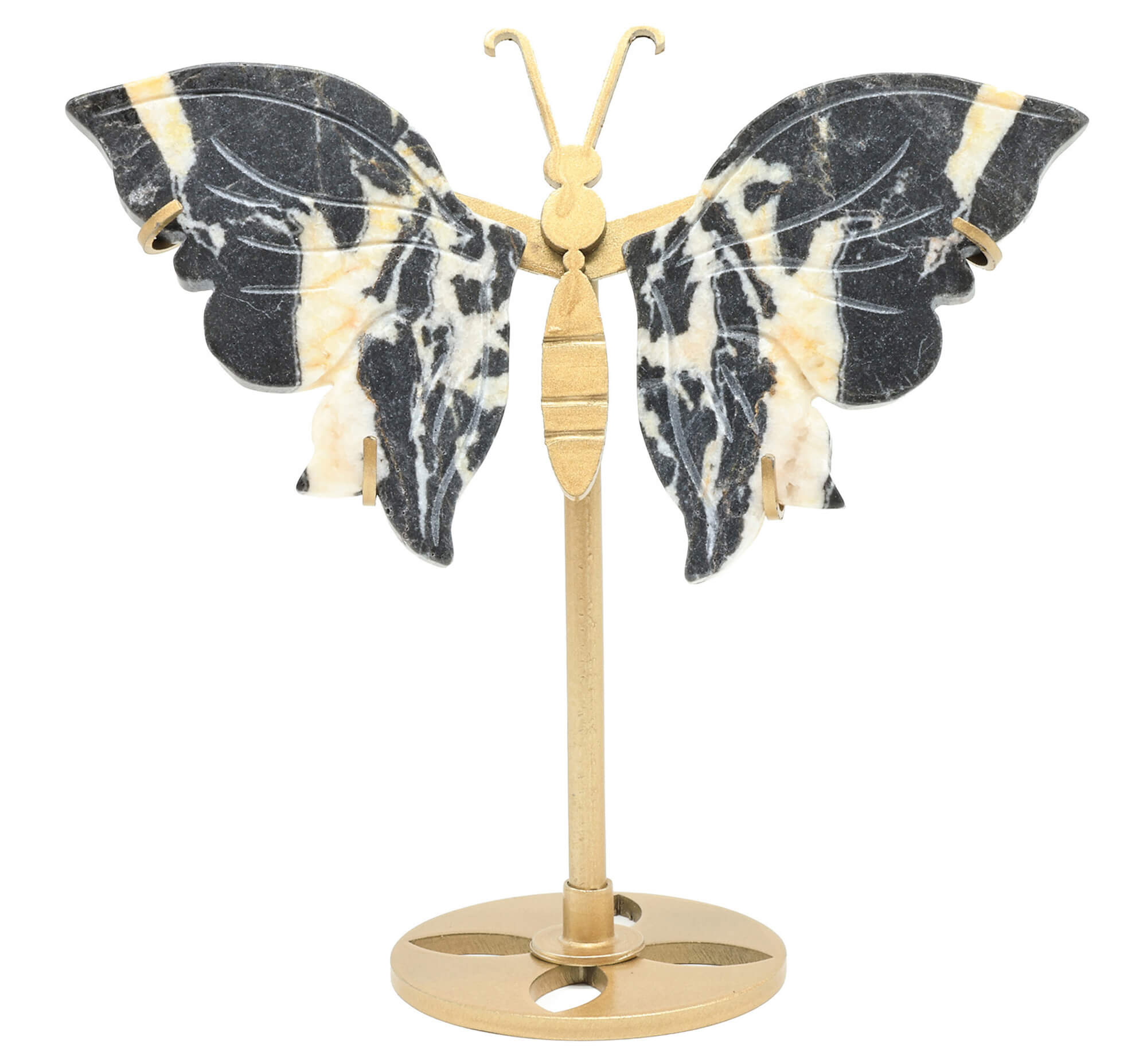 Papillon Jaspe Zebre sur socle 14cm
