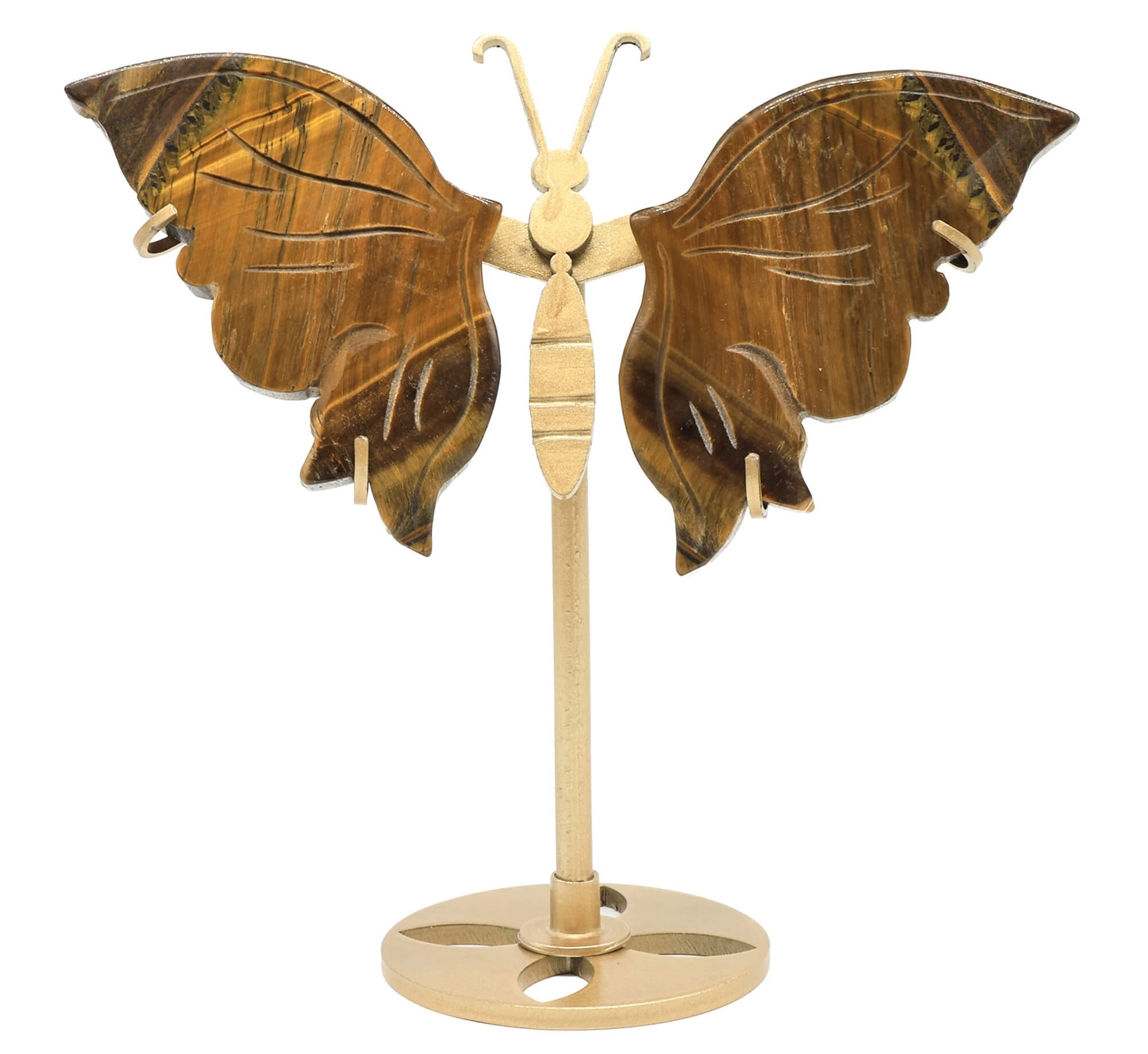 Papillon Obsidienne Noire sur socle 14cm