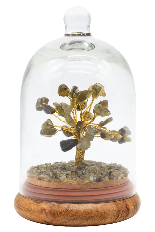 Arbre du Bonheur sous cloche en verre Labradorite