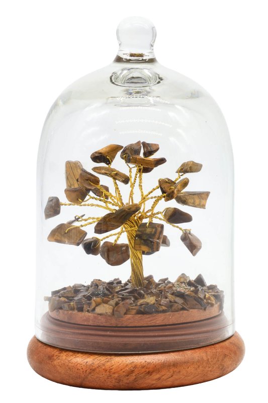Arbre du Bonheur sous cloche en verre Oeil de Tigre